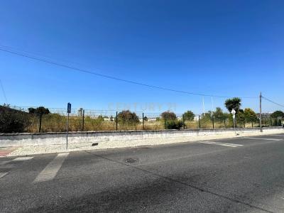 Cascais, Lizbon 2785-283, Portekiz