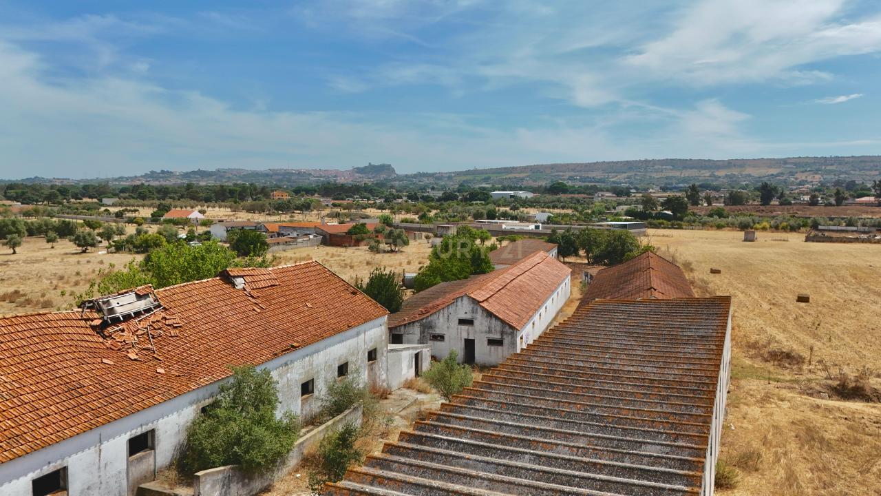 Palmela, Setubal 2950-037, Portugal