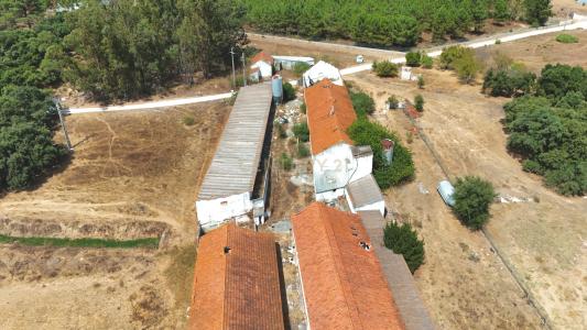 Palmela, Setubal 2950-037, Portugal