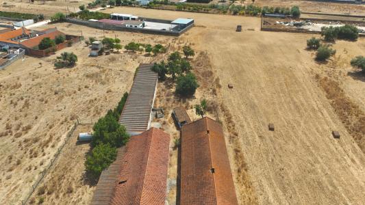 Palmela, Setubal 2950-037, Portugal