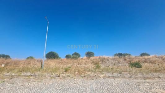 Alenquer, Lisbon 2580-547, Portugal