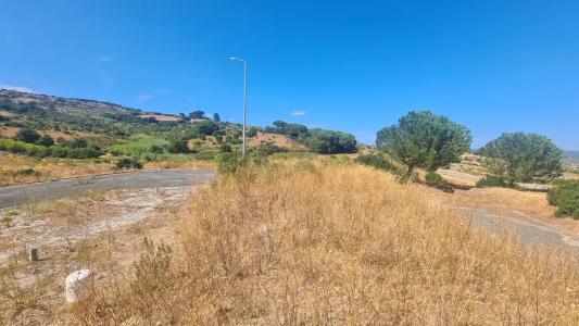 Alenquer, Lisbon 2580-547, Portugal