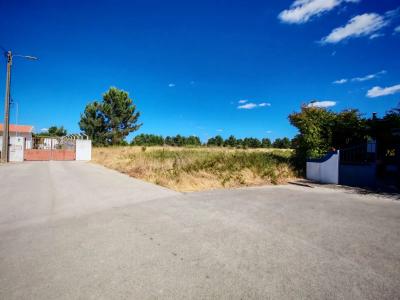 Palmela, Setúbal 2950-040, Portugal