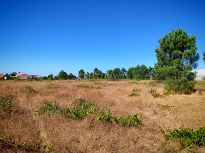 Palmela, Setúbal 2950-040, Portugal