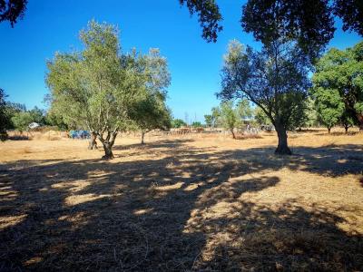 Palmela, Setúbal 2950, Portugal