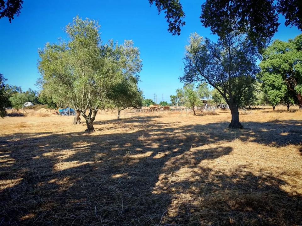 Palmela, סטובל 2950, פורטוגל