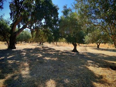 Palmela, סטובל 2950, פורטוגל