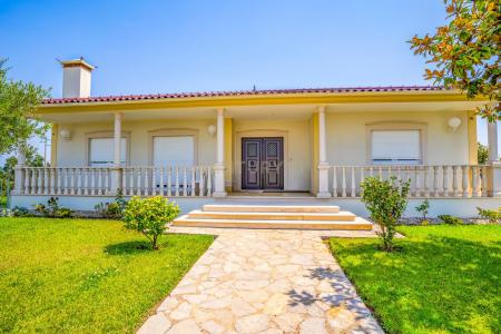 Caldas Da Rainha, Leiria 2500-591, Portugal