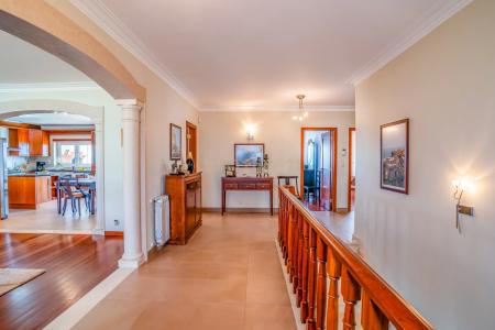 Caldas Da Rainha, Leiria 2500-591, Portugal