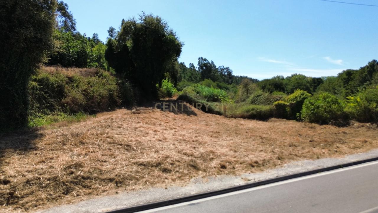 Pombal, 莱里亚 3100-368, 葡萄牙