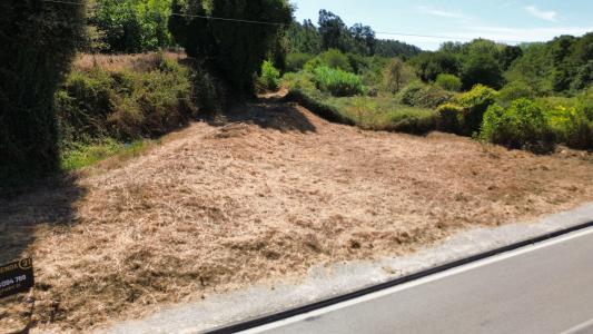 Pombal, 莱里亚 3100-368, 葡萄牙