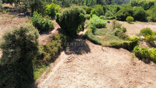 Pombal, 莱里亚 3100-368, 葡萄牙