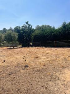 Montemor O Novo, 埃武拉 7050-467, 葡萄牙