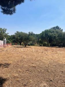 Montemor O Novo, 埃武拉 7050-467, 葡萄牙