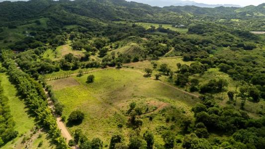La Cruz La Cruz, Guanacaste 00001, Costa Rica