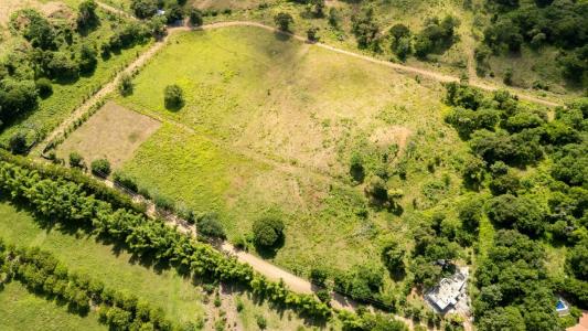 La Cruz La Cruz, Guanacaste 00001, Costa Rica