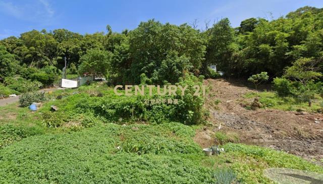 山, 頭份市, Miaoli County 351, 台湾