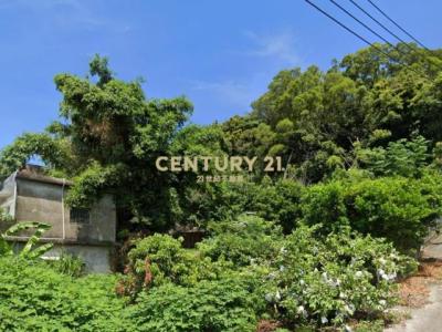 山, 頭份市, Miaoli County 351, 台湾