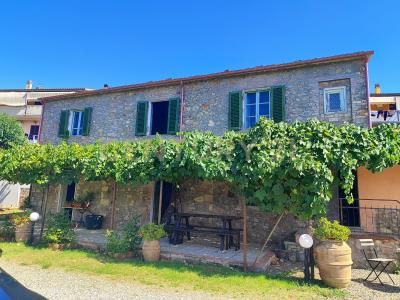 località filare, Gavorrano, Toscana 58023, Itália