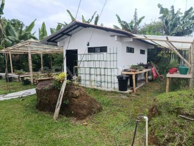 Quimbaya, Quindío 00001, Colombia