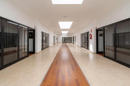 サンタ・クルス・デ・テネリフェ, Canarias 38611, スペイン