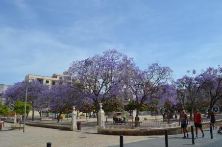 马拉加, Andalucía 29012, 西班牙