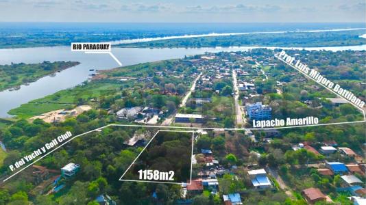 lapacho amarillo y ceibo , Lambaré, Central 00001, Paraguay