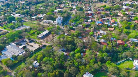 lapacho amarillo y ceibo , Lambaré, Central 00001, Le Paraguay