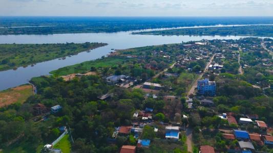 lapacho amarillo y ceibo , Lambaré, Central 00001, Le Paraguay