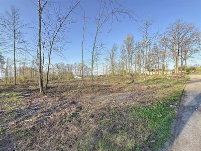 Rue Bois de l'Haminde LOT 2, Florennes, 比利時