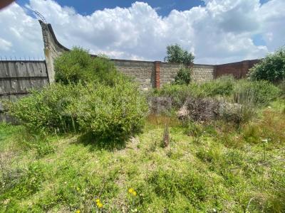 Prolongación Del Paseo de Media Luna Sin númeo,, Toluca, Estado De México 50265, México