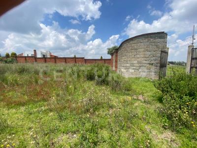 Prolongación Del Paseo de Media Luna Sin númeo,, Toluca, Estado De México 50265, México