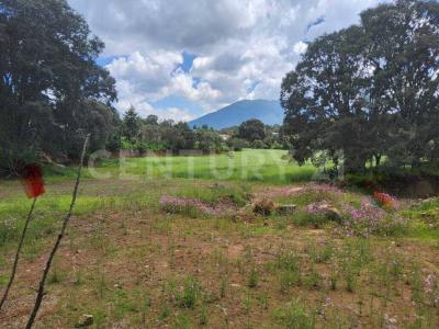 Sin Nombre S/N,, Timilpan, Meksika Eyaleti 50540, Meksika