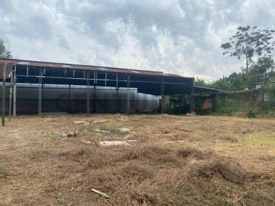 122 e/ 59 y 60 , La Plata, GBA Sur 1900, Argentina