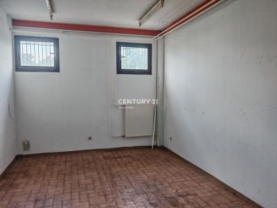 Miklavž na Dravskem polju, Skoke, Miklavž Na Dravskem Polju, Podravska, Slovenia