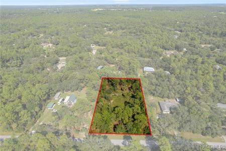 2733 S Bolton Avenue, Homosassa, פלורידה 34448, ארצות הברית של אמריקה