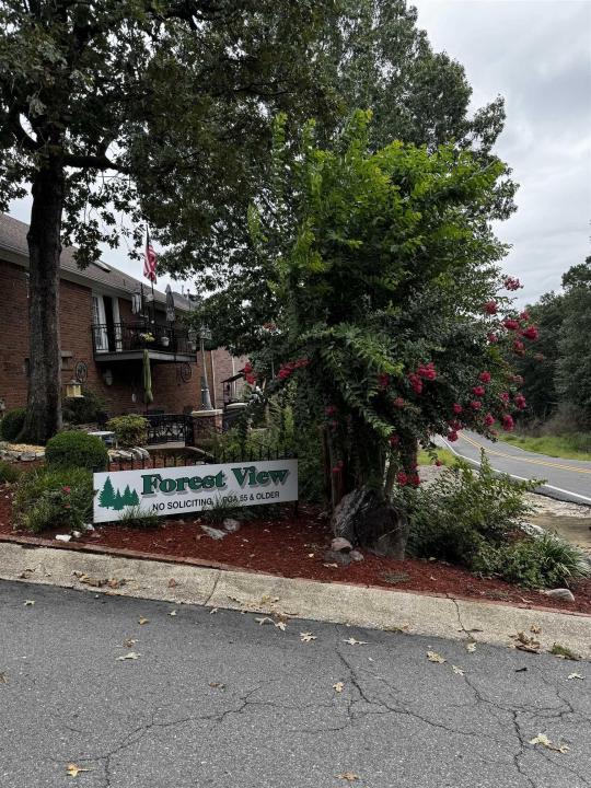 Lot 28 Forest View Circle, Hot Springs, Arkansas 71913, Estados Unidos