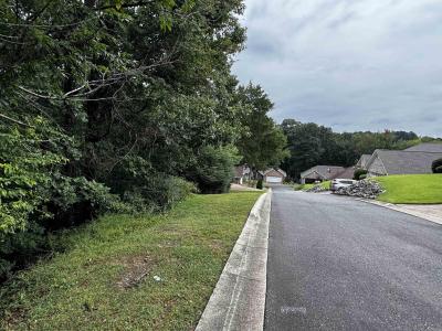 Lot 28 Forest View Circle, Hot Springs, Arkansas 71913, Estados Unidos