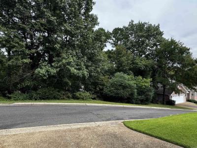 Lot 28 Forest View Circle, Hot Springs, Arkansas 71913, Estados Unidos