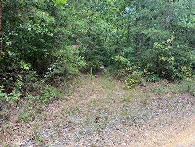 123 Retro Hughes Road, Graysville, Tennessee 37338, USA