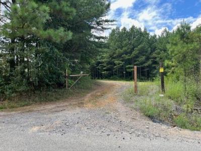 123 Retro Hughes Road, Graysville, テネシー 37338, アメリカ合衆国