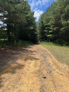 123 Retro Hughes Road, Graysville, テネシー 37338, アメリカ合衆国