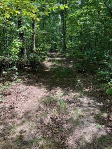 123 Retro Hughes Road, Graysville, テネシー 37338, アメリカ合衆国