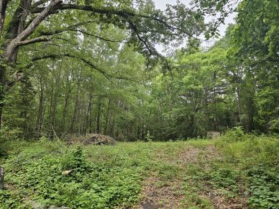 125 Jenkins St, Henderson, 得克萨斯州 75654, 美国