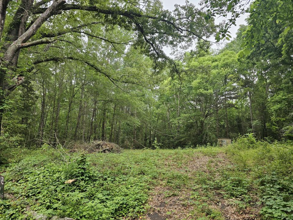 125 Jenkins St, Henderson, 得克萨斯州 75654, 美国