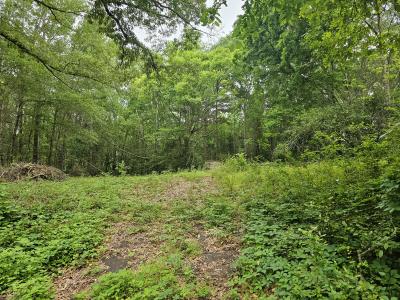 125 Jenkins St, Henderson, 得克萨斯州 75654, 美国