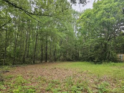 125 Jenkins St, Henderson, 得克萨斯州 75654, 美国