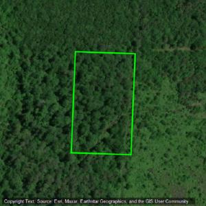 5 acres Highway 29, Bradley, Arkansas 71826, USA