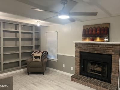 441 Mimosa Street, Mount Carmel, Tennessee 37645, Estados Unidos