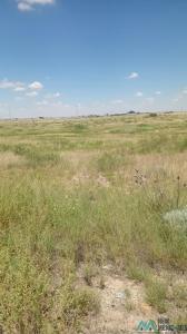 000 Marion Richards Rd, Roswell, NM 88201, USA